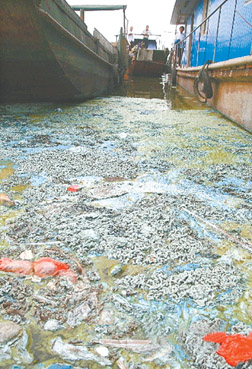 积极参与人才培养体系的构建