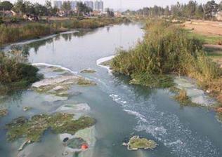 公司主营业务未发生重大变化