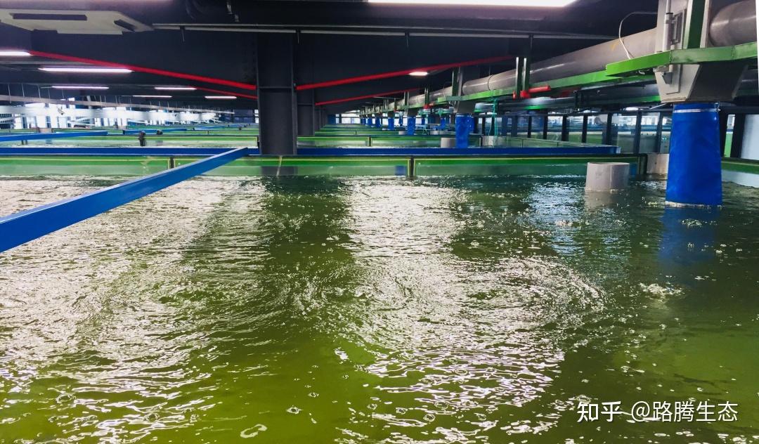 就加强生态保护红线管控与矿山综合治理、强化自然保护地管控与野生动植物保护、抓实垃圾处置治理、提升污水收集处理能力、落实河湖长制与污染河涌治理、攻坚农业面源与畜禽养殖尾水污染治理等工作