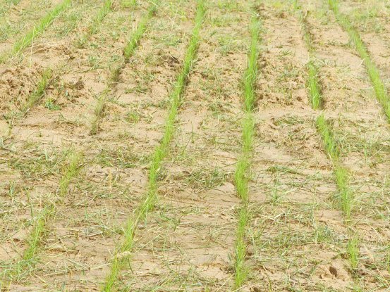 为大家提供一份参考指南