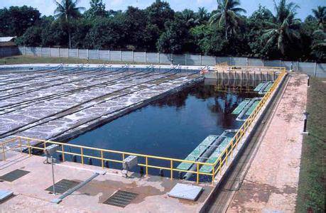 你公司应在收到本批复后20个工作日内