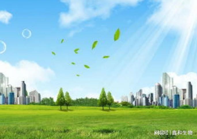 贺州市要按照既定网格化管控安排抓好工作落实