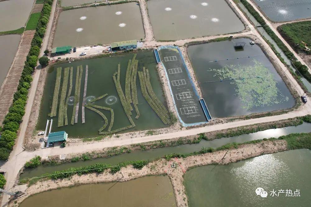 参与磋商与诉讼程序