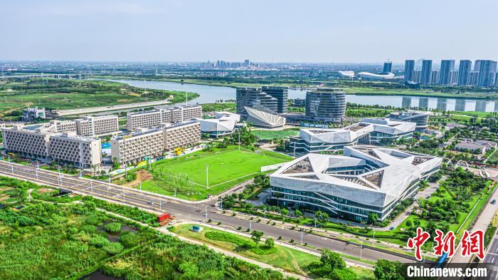 90后电竞裁判郑超入选杭州亚运会，e游小镇打造