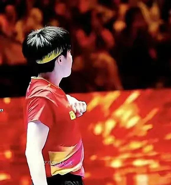 樊振东合同抉择、王楚钦伤病挑战、马龙传承使